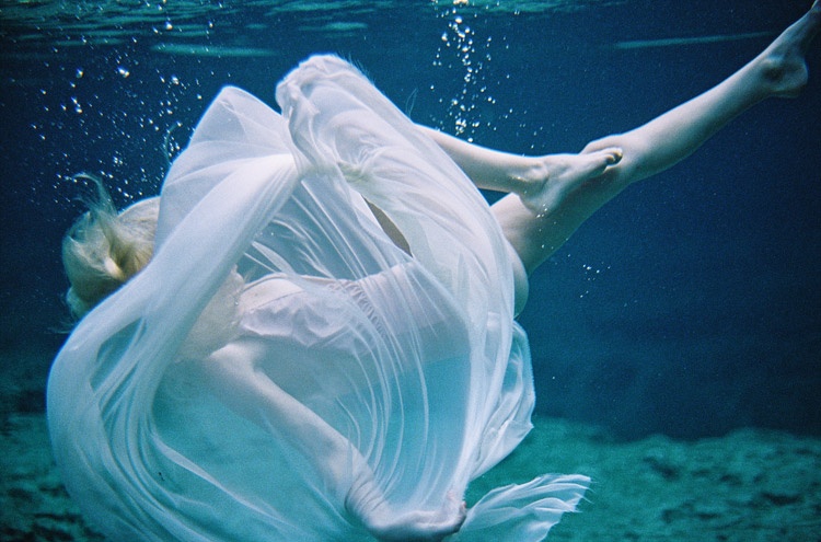 Image by Feather and Stone