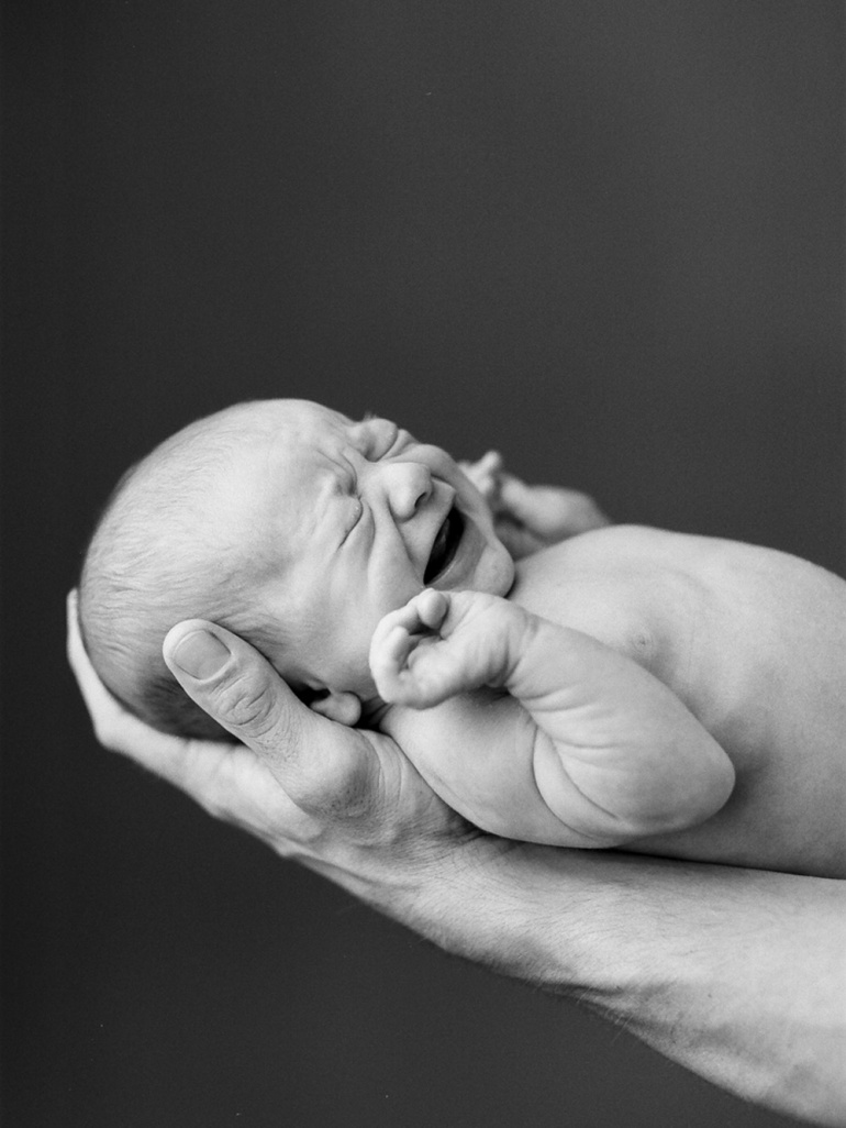 Image by Sandra Coan