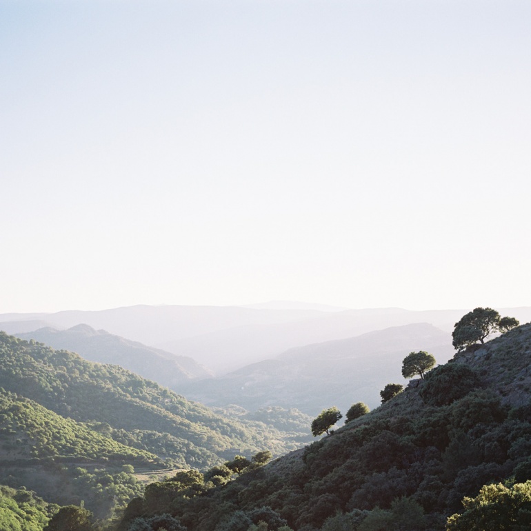 Image by Johnny Patience