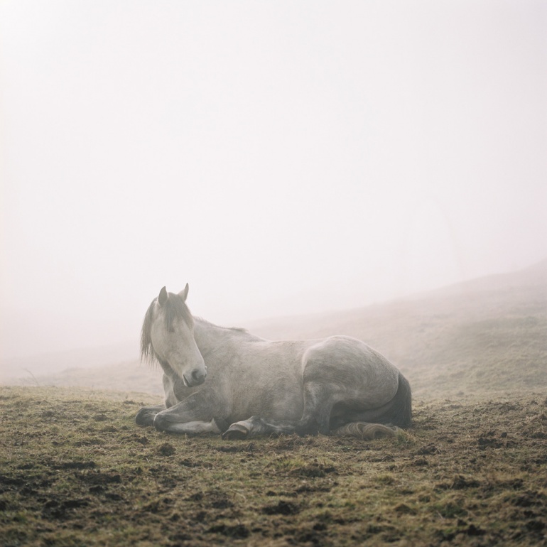 Image by Johnny Patience