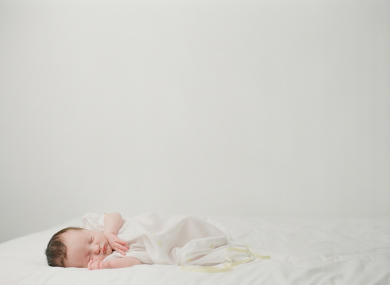 Image by Sandra Coan