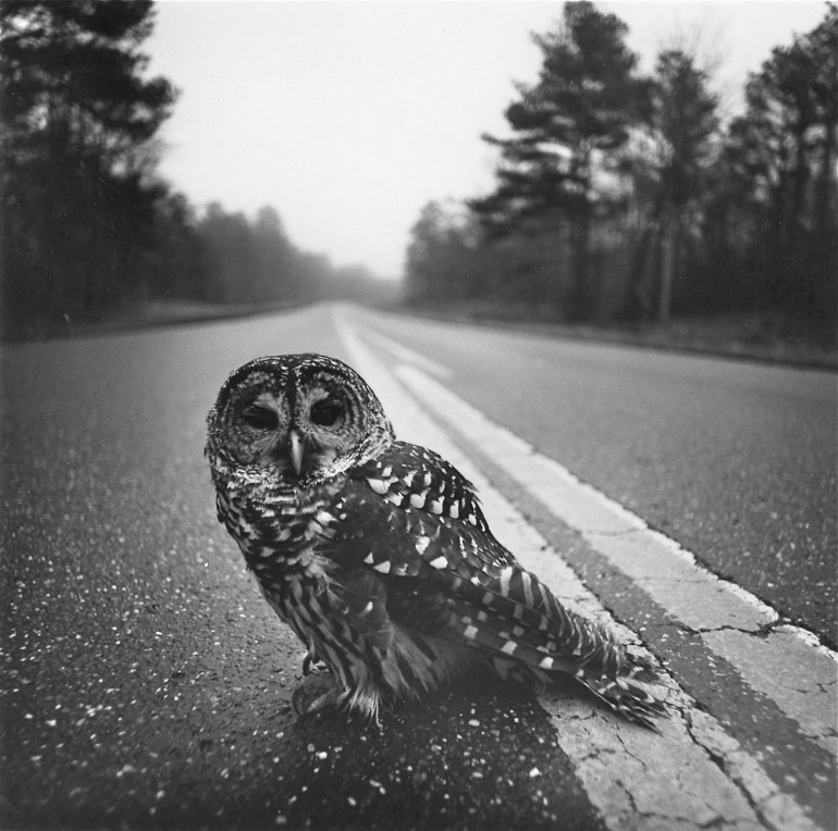 Image by Arthur Tress