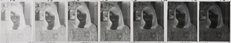Ilford HP5 Negatives