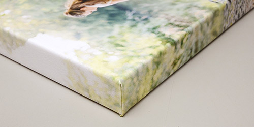 Edge Option - Image Wrap