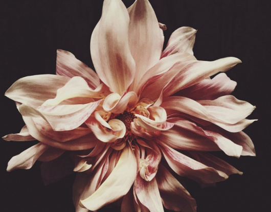 /blog/2015/04-02-15-Photog-Spotlight/Awb2.jpeg