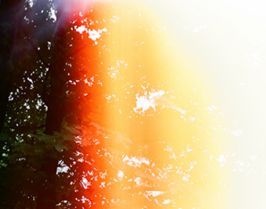 /blog/2016/12-09-16-Common-Issues/cropped-images/Camera-opened-mid-roll-richard-photo-lab-0-0-458-359-1517018078.png